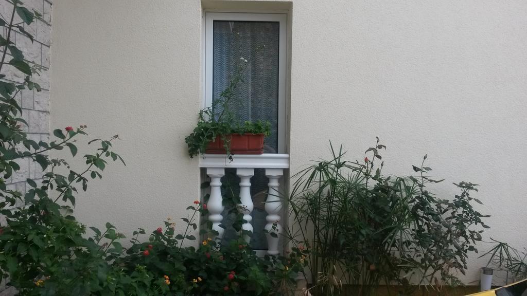 Petranic Apartment